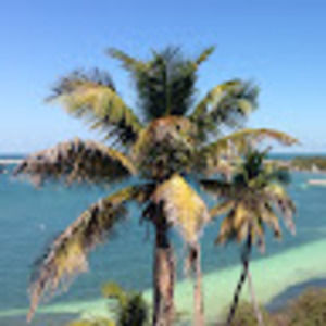 Meet your Posher, Alan